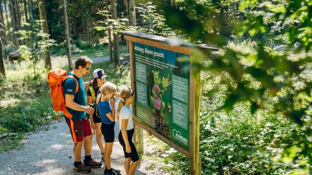 Natur- und Umwelterlebnispfad am Sattelberg