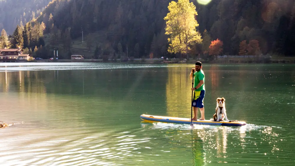 Mann mit Hund beim Stand Up Paddling auf dem Pillersee