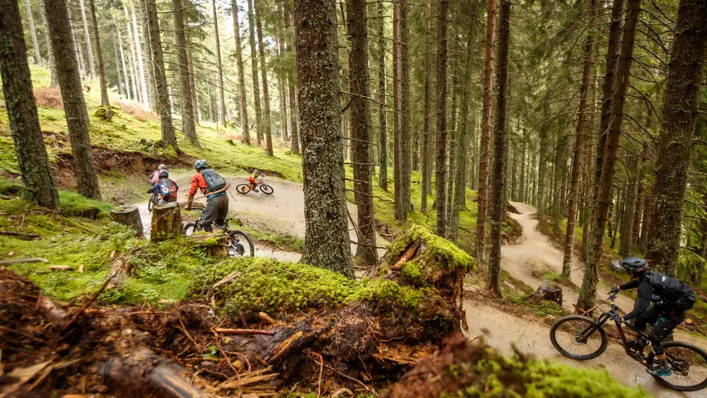 Bikepark Innsbruck