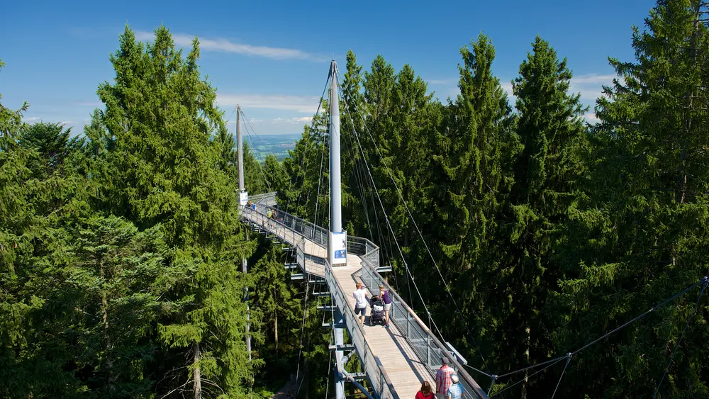 Baumwipfelpfad im Naturerlebnispark Skywalk im Allgäu