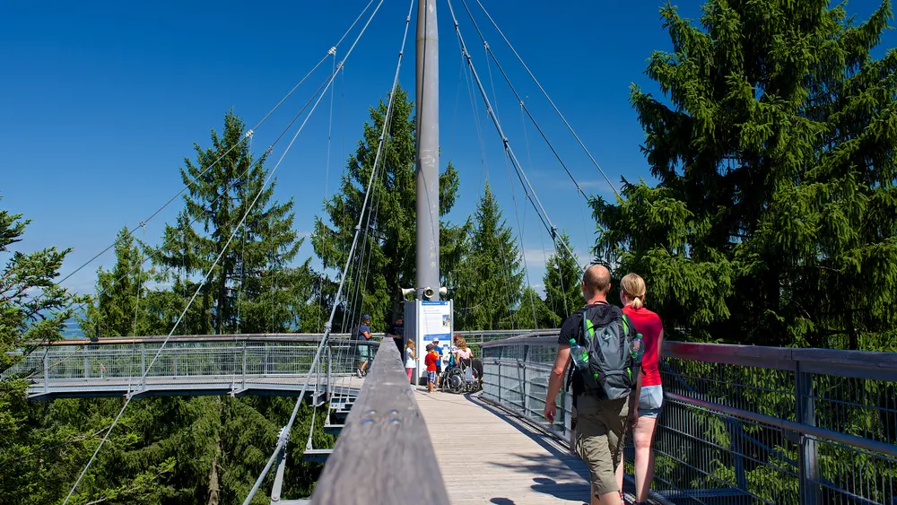 Skywalk Allgäu Baumwipfelpfad