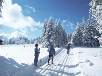 Hirschensteinloipe