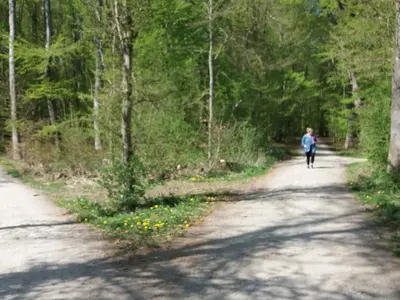 Route 14: Von Herrsching zur Waldkapelle