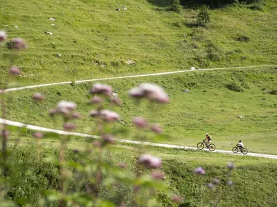 MTB 22 Dalsen Runde