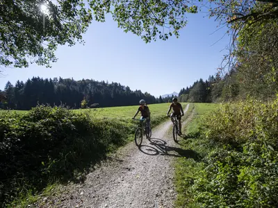 MTB 37 Balsberg Runde
