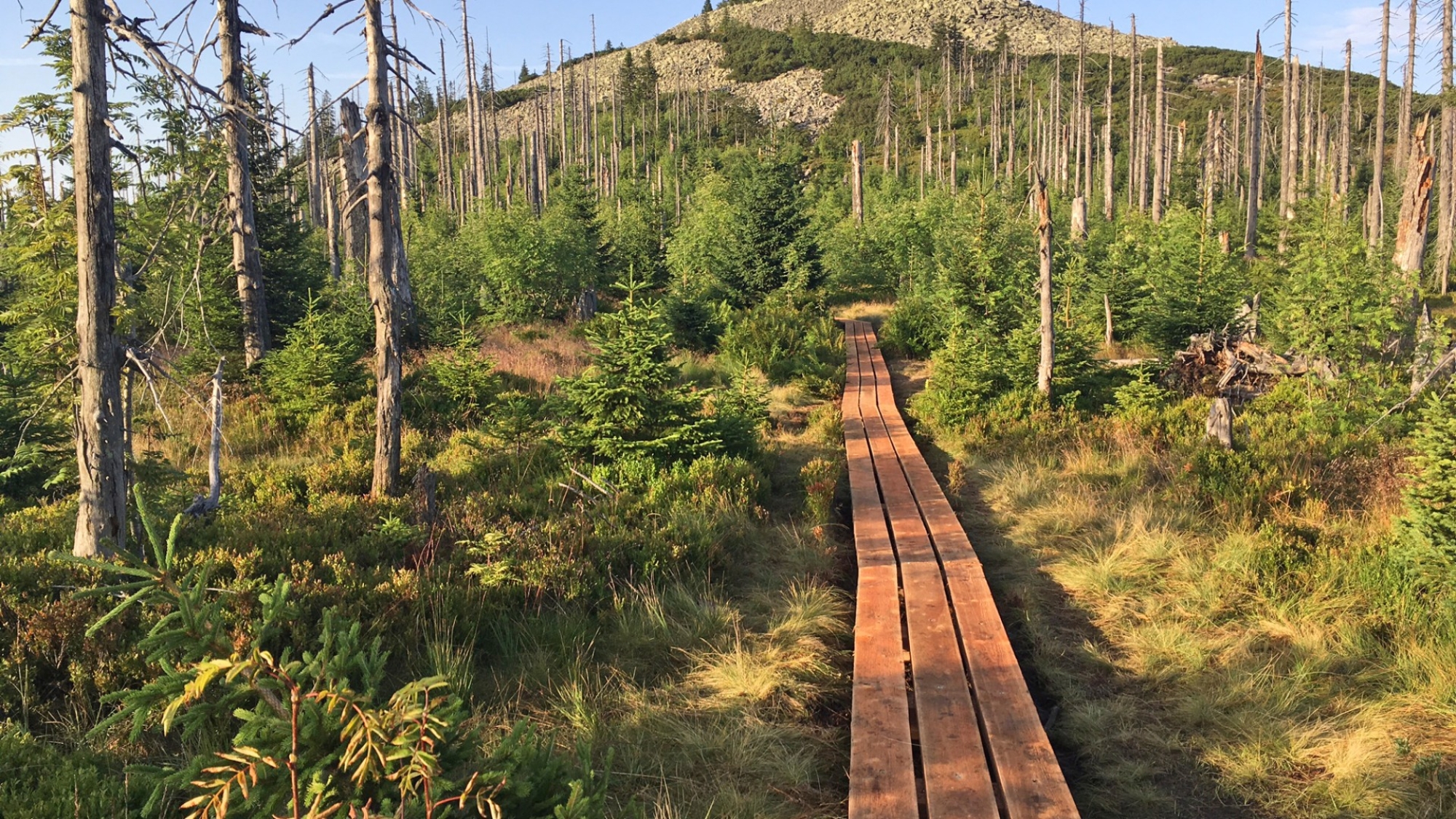 Wanderweg zum Lusengipfel