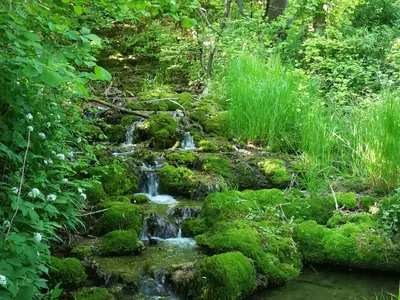 Tiefenellern - Herzogenreuth – Stockenberg – Blauer RIng