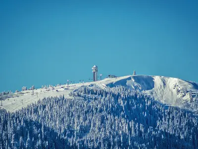 Bild Feldberg