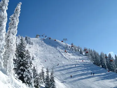 Bild Haus im Ennstal