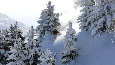 Tiefschneefahrer in Via Lattea