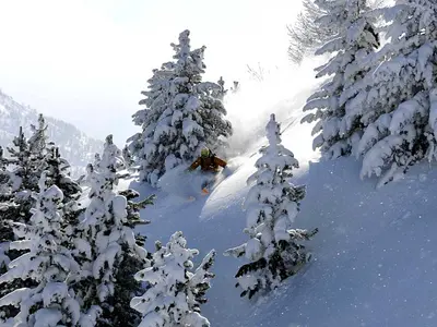 Tiefschneefahrer in Via Lattea © vialattea.it