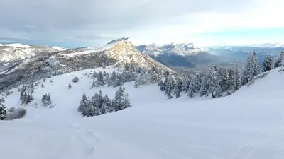 Winterlandschaft mit Bergen und Tannen bei Lans-en-Vercors