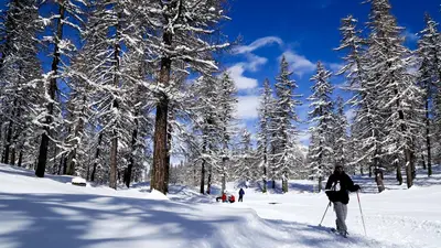 Schneeschuhwanderer im Wald