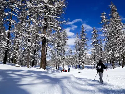 Schneeschuhwanderer im Wald © Jan NOVAK / OTI Pays des Écrins