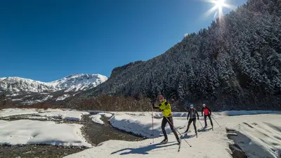 Langläufer auf der Skatingspur