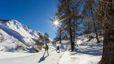 Skater auf einer Loipe