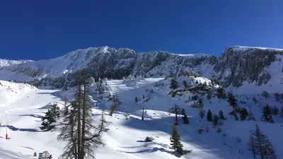 verschneite Landschaft