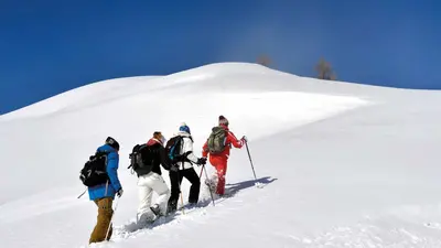 Vier Schneeschuhwanderer kurz vorm Gipfel