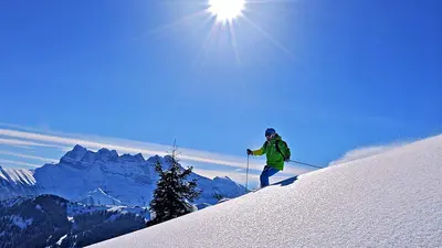 Freerider in Châtel