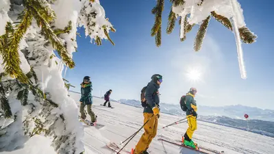 Skifahrer in Les Gets