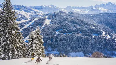 Freerider in Les Gets