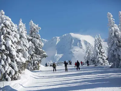 Skifahrer auf einer Piste zwischen Tannen © Megève Tourismus - Daniel Durand