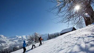 Schneeschuhwanderer auf dem Weg zur Hütte