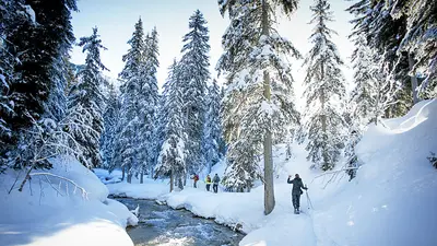 Schneeschuhwandern in Courchevel