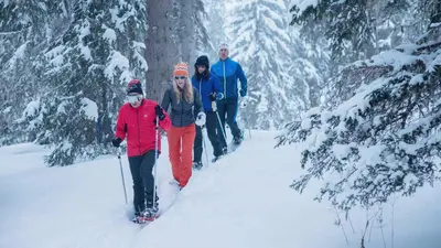 Vier Winterwanderer im Wald