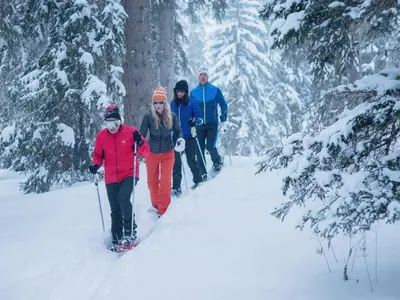 Vier Winterwanderer im Wald © OT de Mèribel