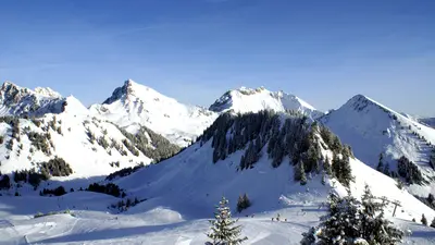 Blick ins Skigebiet Praz de Lys Sommand