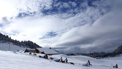 Hundeschlittenfahrt in der Region Praz de Lys Sommand