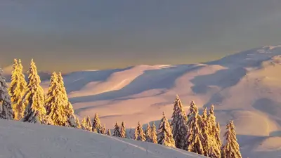 Sonnenaufgang im verschneiten Monts Jura