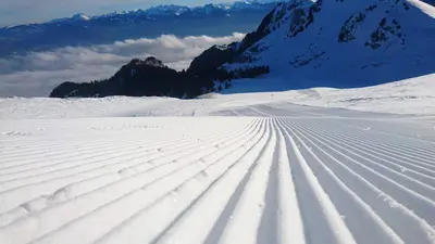 Piste in Thollon Les Memises