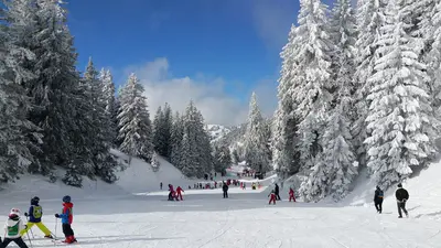 Blick auf eine Piste in Thollon Les Memises