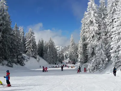 Blick auf eine Piste in Thollon Les Memises © OT Thollon Les Memises