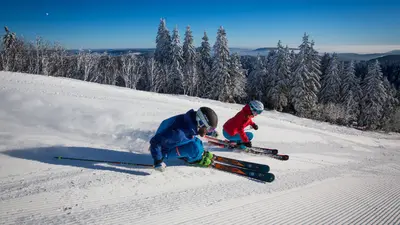 Zwei Skifahrer beim Carven am Feldberg