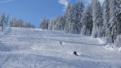 Drei Skifahrer auf der Piste