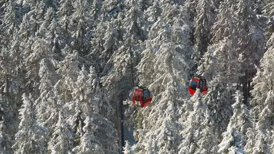 Wurmbergseilbahn vor dem Winterwald