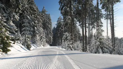 Frisch präparierte Piste am Wurmberg