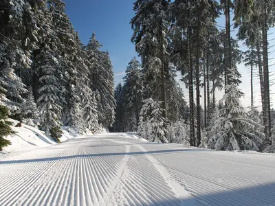 Frisch präparierte Piste am Wurmberg © Wurmbergseilbahn Braunlage