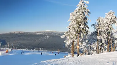 Nordhang am Wurmberg mit Blick auf den Brocken