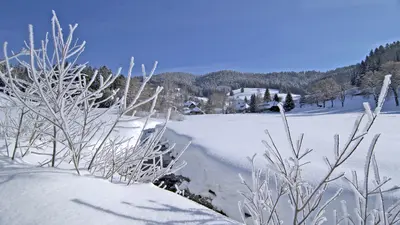 Winterlandschaft in Todtmoos