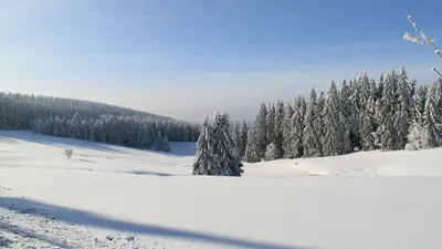 Traumhafte Winterlandschaft am Bocksberg
