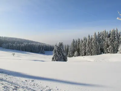 Traumhafte Winterlandschaft am Bocksberg © ErlebnisBocksBerg