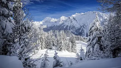 Blick vom Kranzberg auf das Karwendel