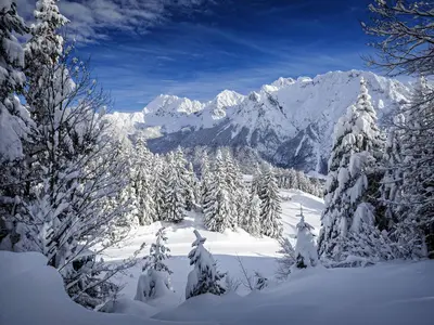 Blick vom Kranzberg auf das Karwendel © Alpenwelt Karwendel / Rudolf Pohmann