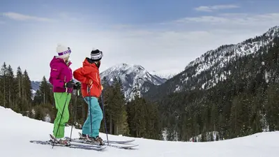 Langläufer mit Bergpanorama