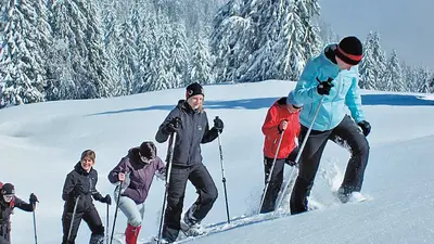 Gruppe Schneeschuhwanderer