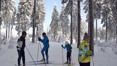 Langlaufgruppe im Wald in Klingenthal